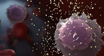 Průlom v boji proti HIV: Nový lék nabízí revoluční ochranu. Vědci slaví úspěch s injekcí, která chrání před nákazou